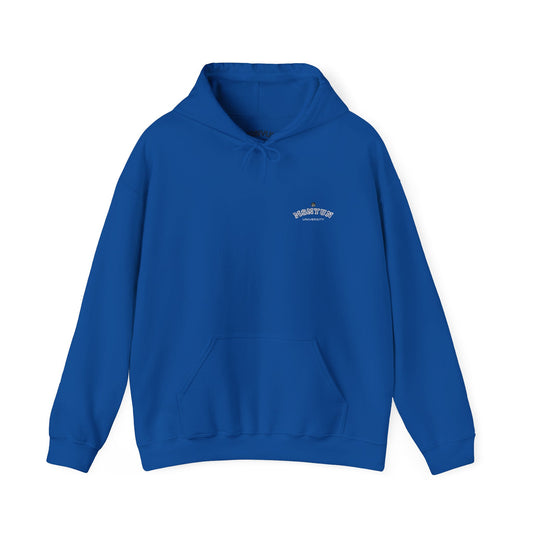 Minimalist Hoodie with Graphic Print | Cozy Unisex Sweatshirt